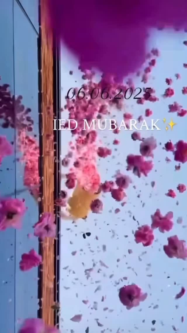 Post 8 by Sanae Chanel on Instagram (video)