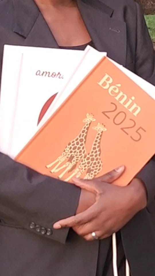 Post 1 by A B I B A O U S M A N E 🇧🇯 on Instagram (video)