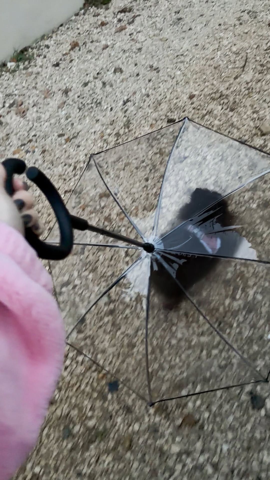 Post 1 by LoryLyn on Instagram (video)