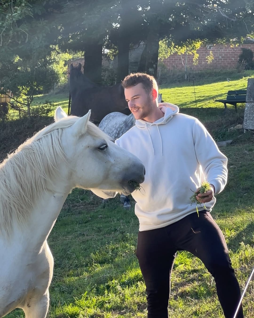 Post 1 by 𝐇 𝐔 𝐁 𝐄 𝐑 𝐓 • 𝐁 𝐔 𝐘 𝐂 𝐊 on Instagram (carousel)