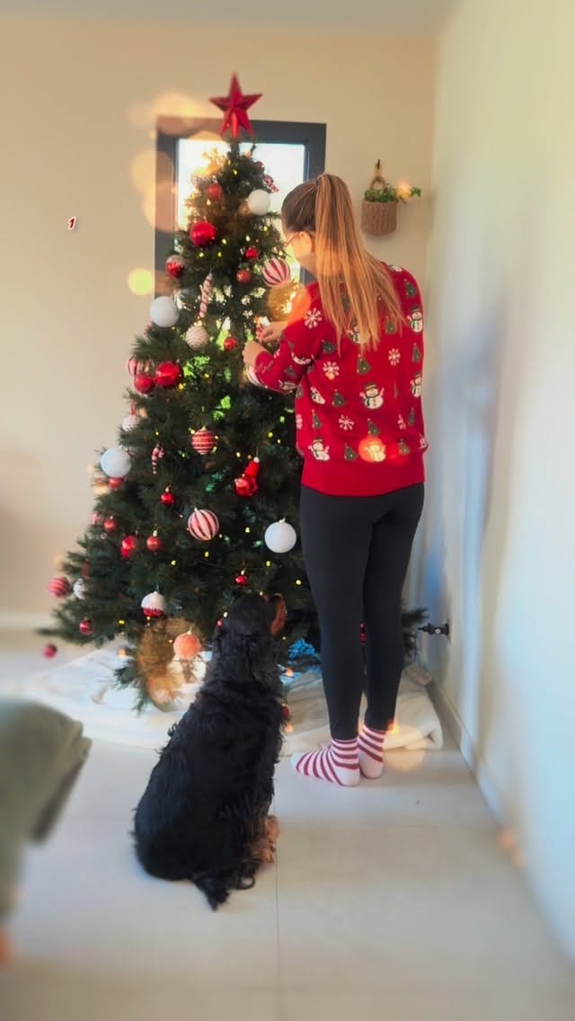 Post 9 by OSCAR 🐶 on Instagram (video)