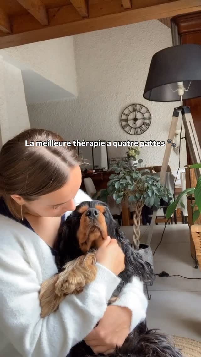 Post 3 by OSCAR 🐶 on Instagram (video)