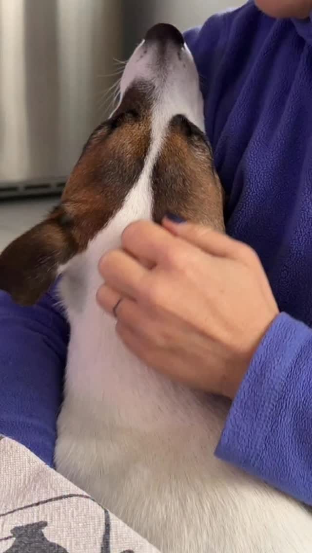 Post 5 by Milo on Instagram (video)