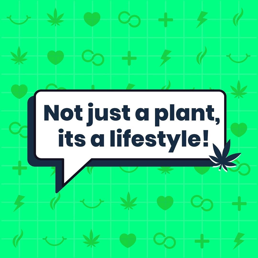 Post 2 by Cannfinity on Instagram (image)