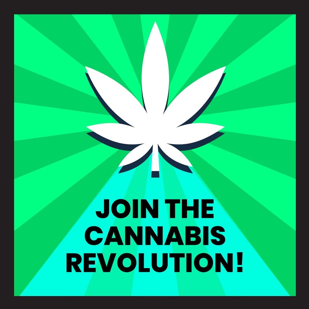 Post 1 by Cannfinity on Instagram (image)