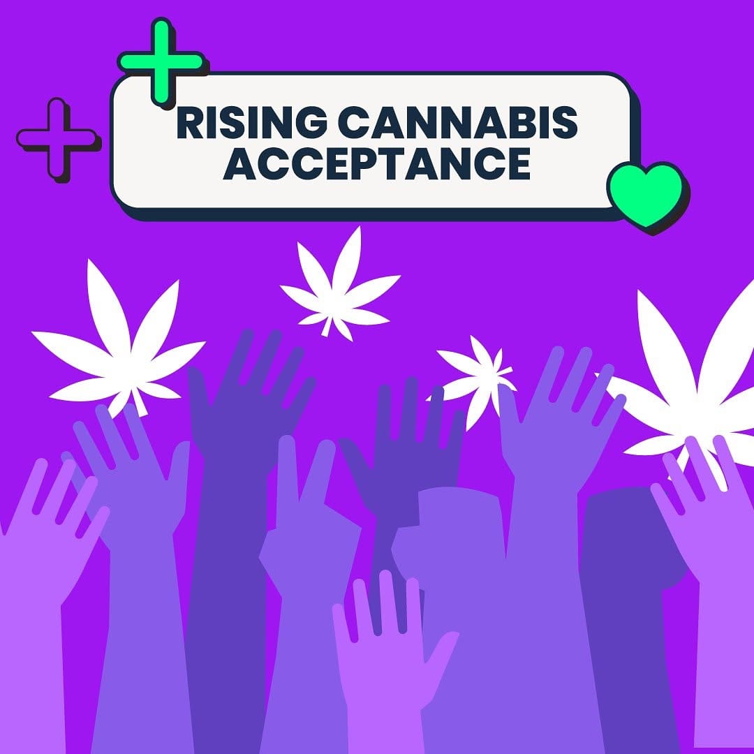 Post 4 by Cannfinity on Instagram (image)