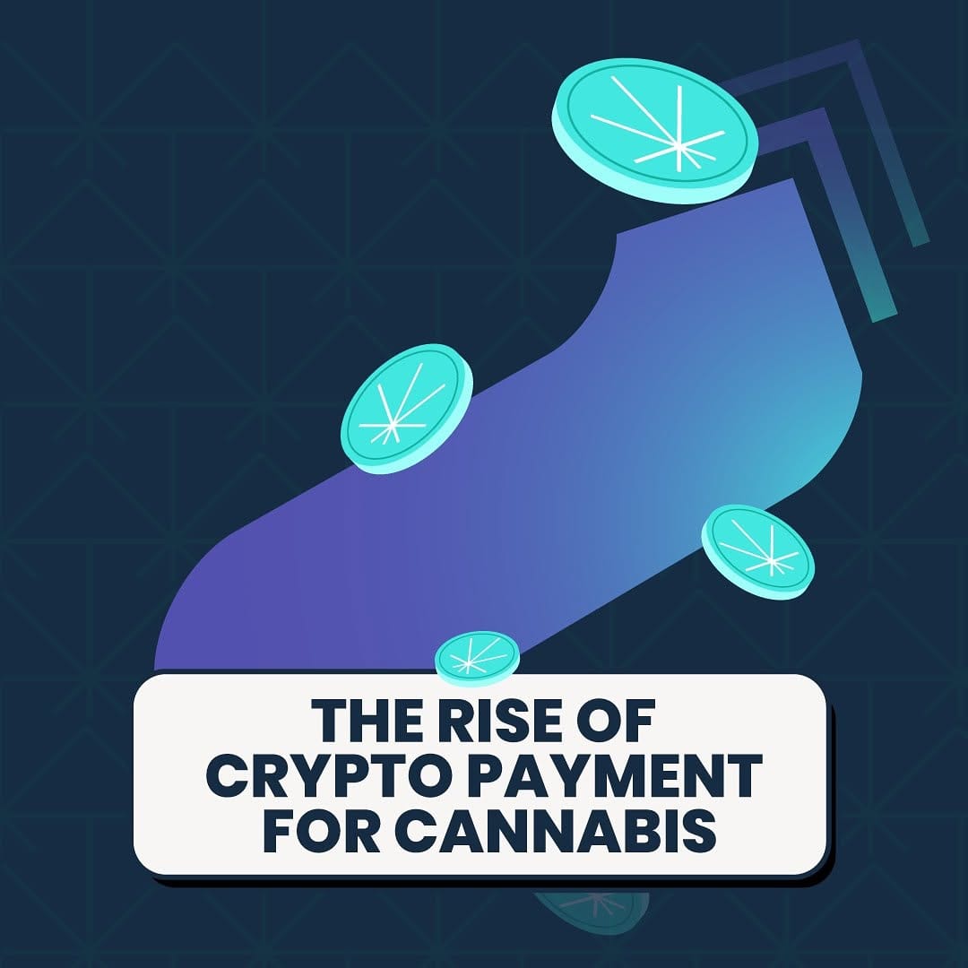 Post 5 by Cannfinity on Instagram (image)
