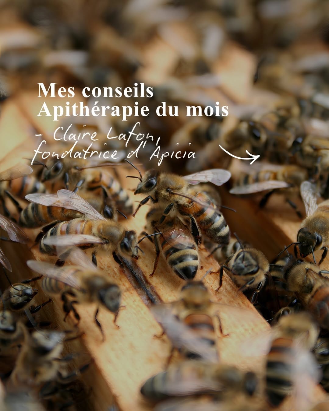 Post 8 by Apicia | L’Apithérapie In & Out on Instagram (carousel)