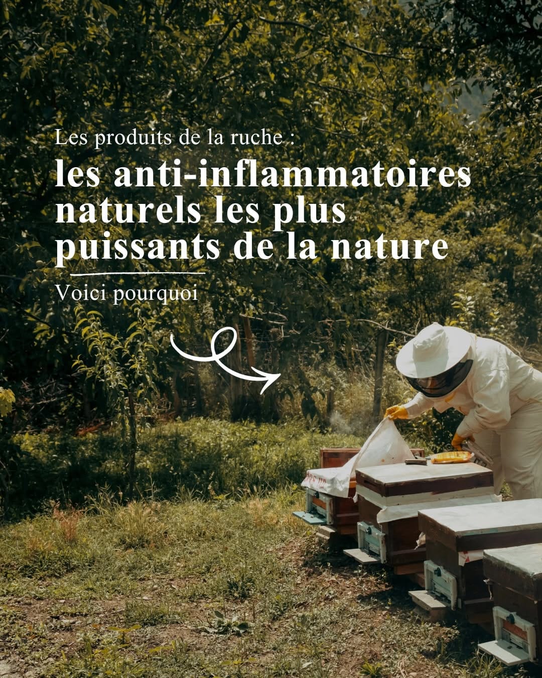 Post 1 by Apicia | L’Apithérapie In & Out on Instagram (carousel)
