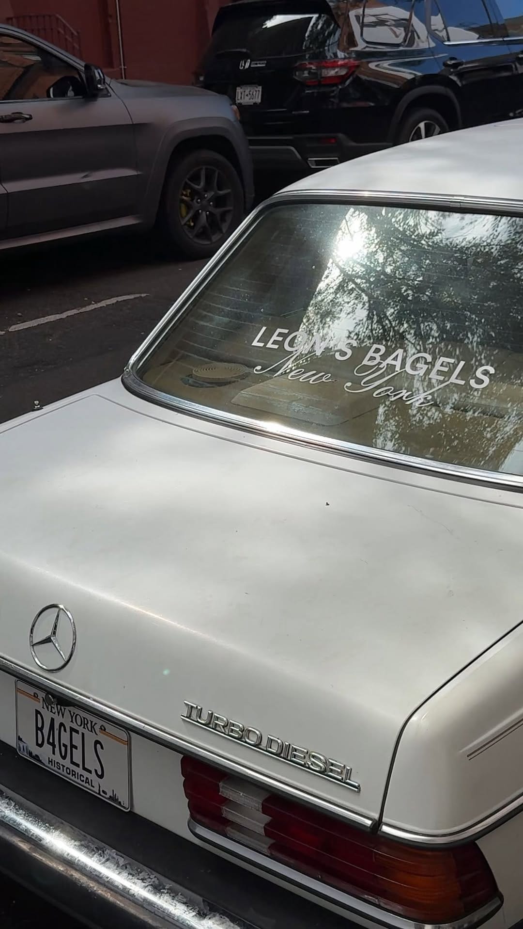 Post 8 by paris bechthold on Instagram (video)