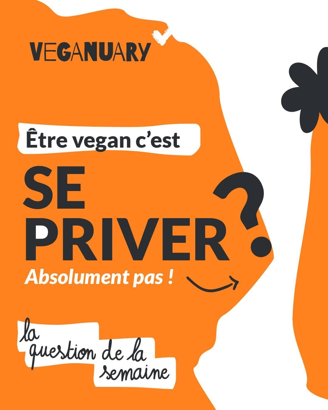 Post 9 by Official Vegan Shop on Instagram (carousel)