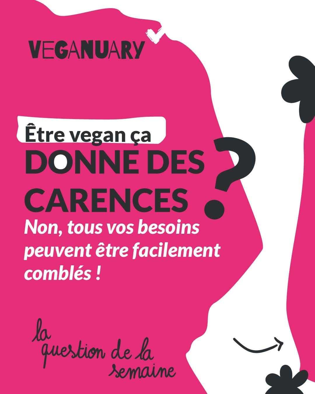 Post 4 by Official Vegan Shop on Instagram (carousel)