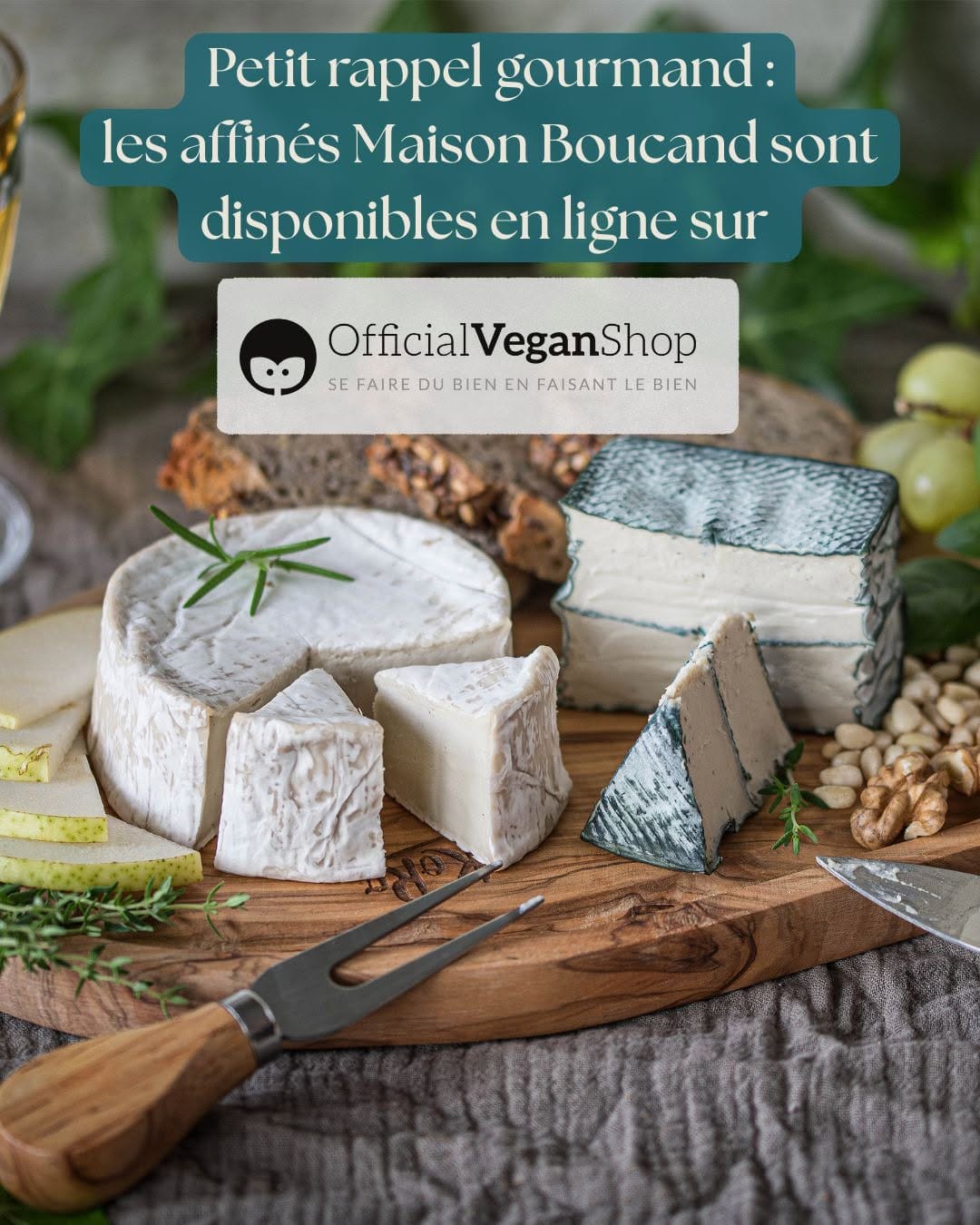Post 1 by Official Vegan Shop on Instagram (image)