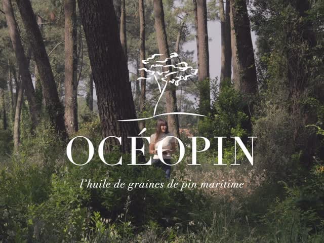 Post 8 by OCÉOPIN on Instagram (video)