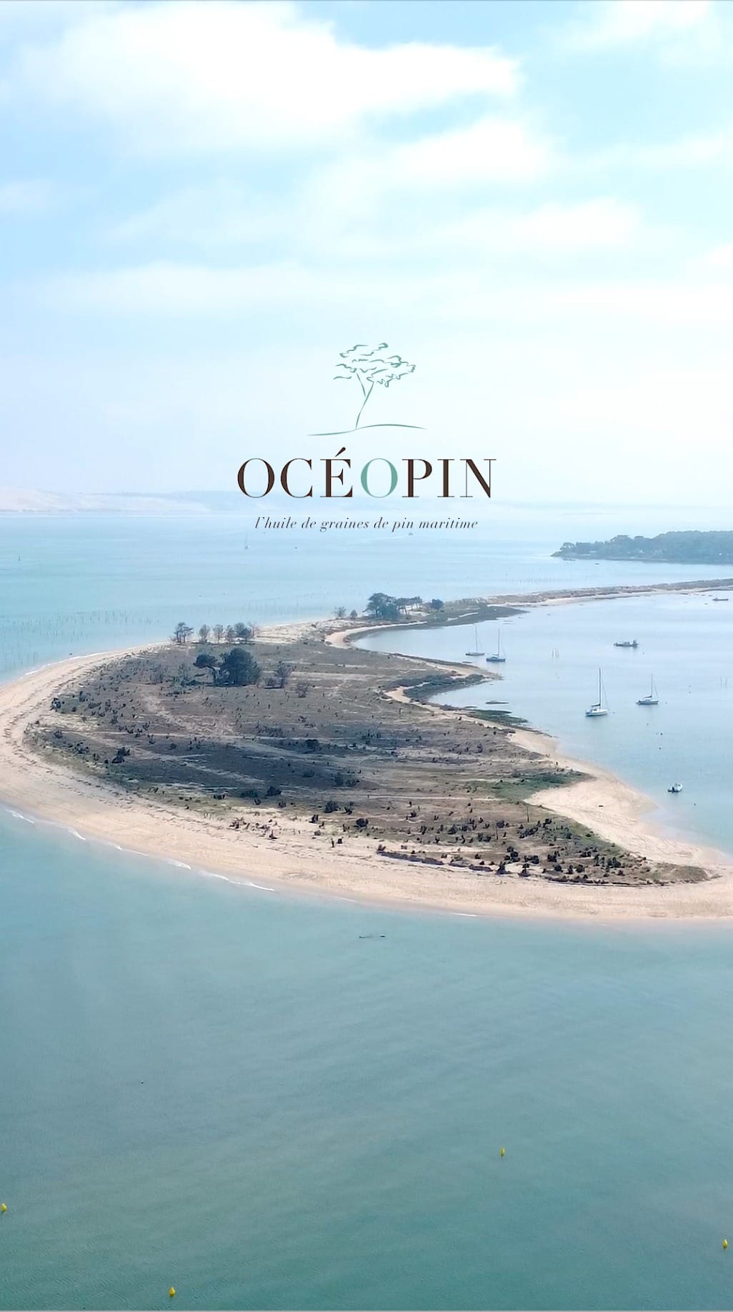 Post 9 by OCÉOPIN on Instagram (video)