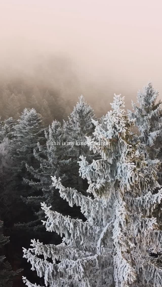 Post 2 by Valeriya• The Timeless Romantic 🕰️🌷 on Instagram (video)
