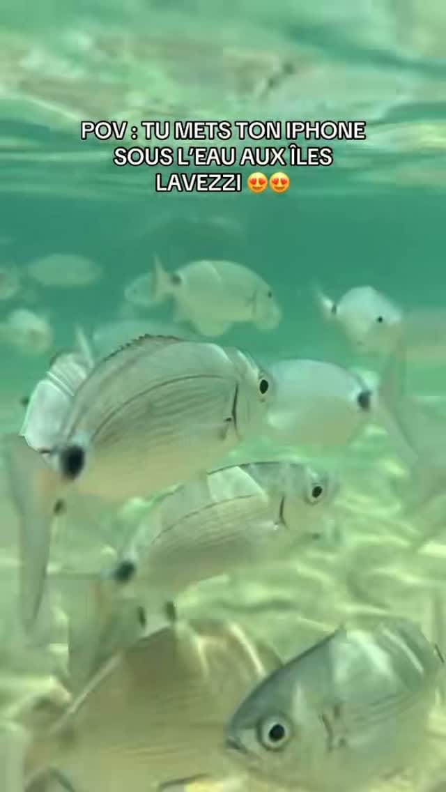 Post 6 by 𝙹𝚄𝚂𝚃𝙸𝙽𝙴 ✨ on Instagram (video)