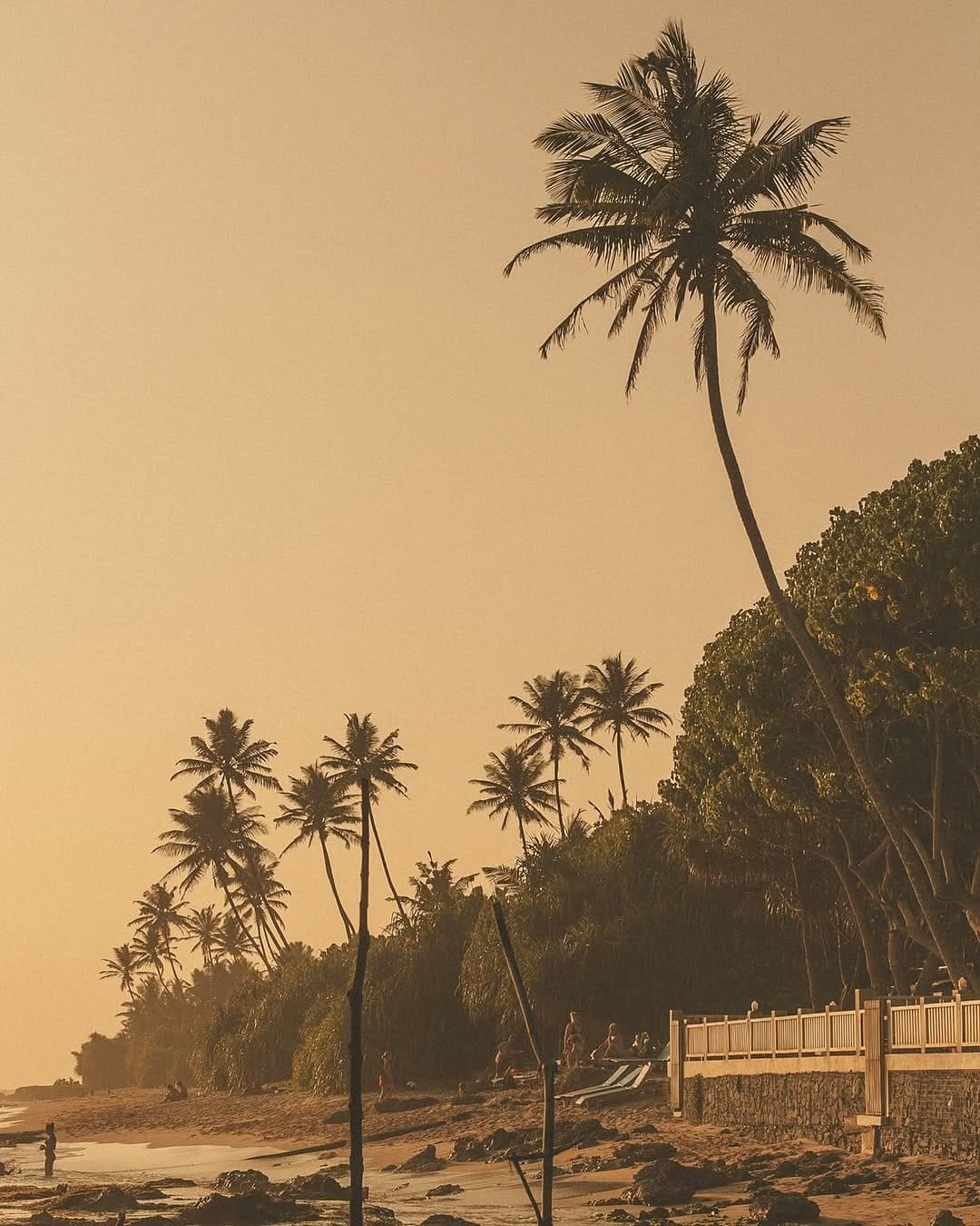 Post 10 by Aurélie Bidermann on Instagram (carousel)