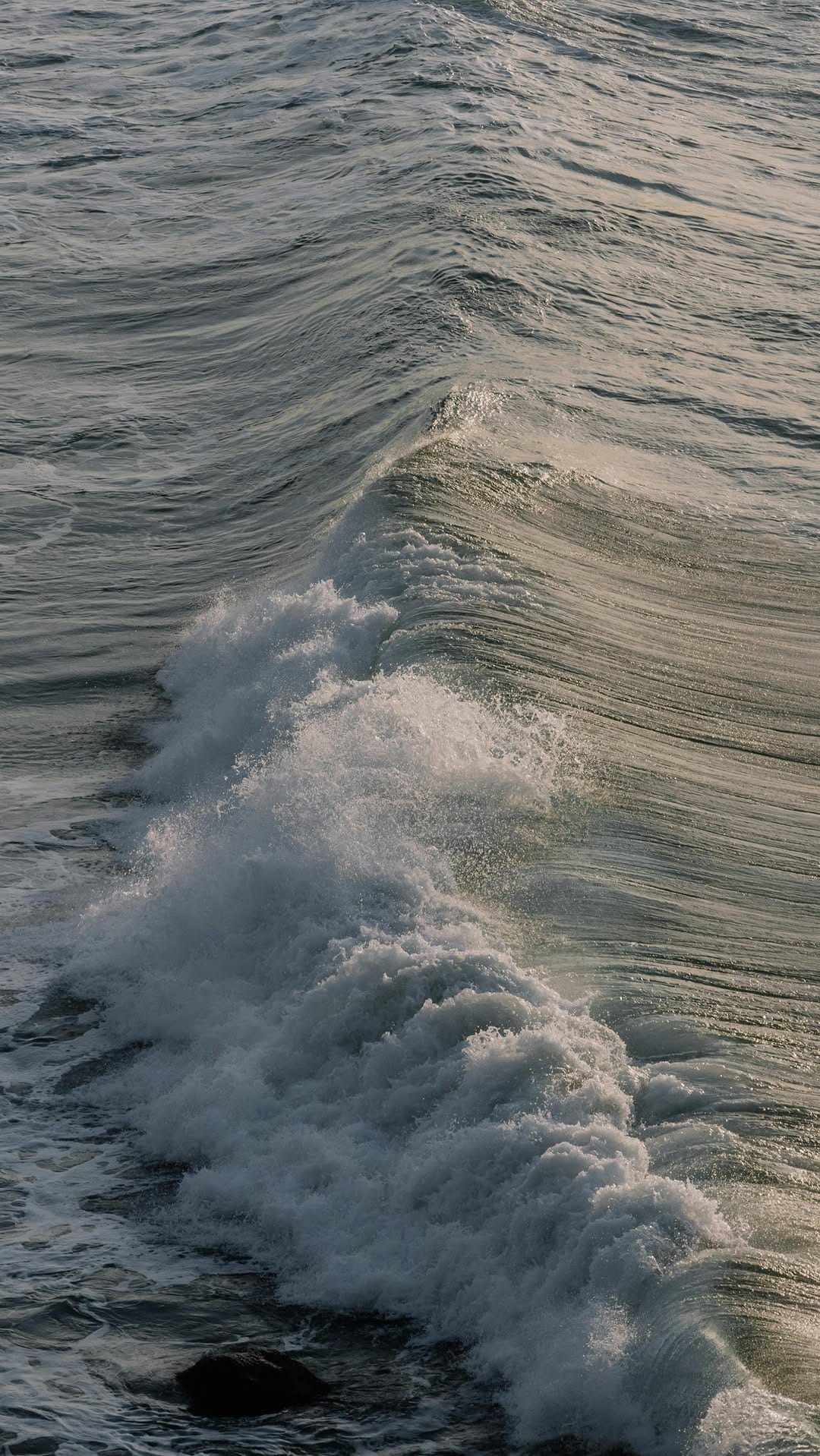 Post 2 by PHYTOMER on Instagram (video)