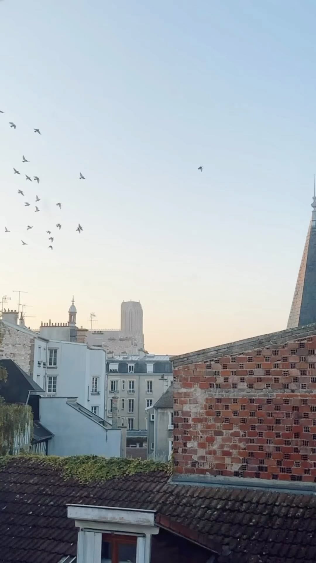 Post 6 by Maud on Instagram (video)