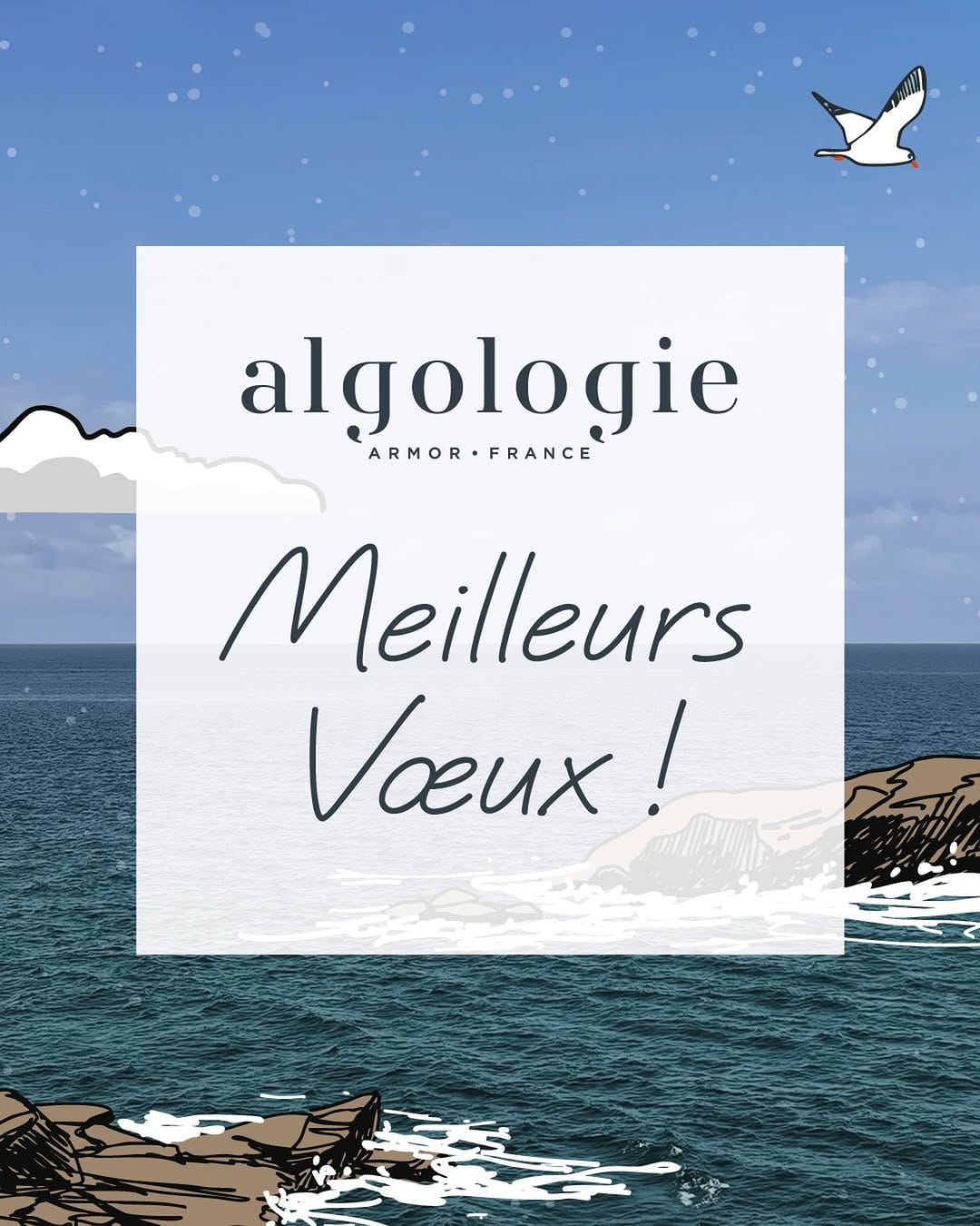 Post 9 by algologie on Instagram (image)