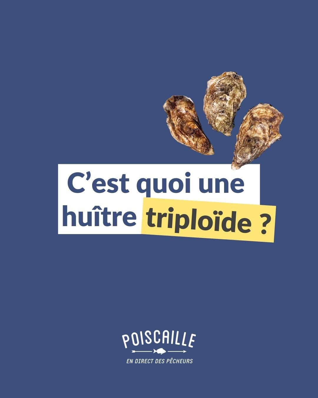 Post 5 by Poiscaille, les paniers de la mer on Instagram (carousel)