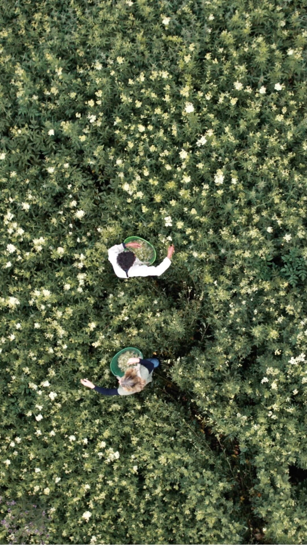 Post 10 by On The Wild Side on Instagram (video)