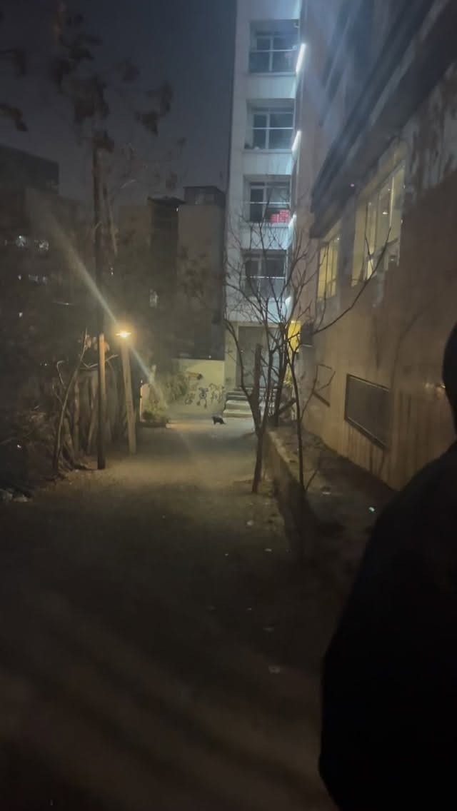 Post 4 by Ana Goli on Instagram (video)