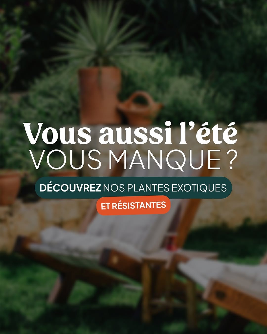 Post 2 by Plantes IDF on Instagram (carousel)