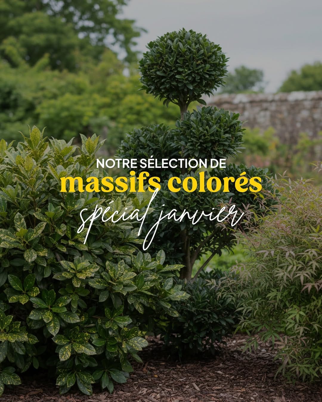 Post 4 by Plantes IDF on Instagram (carousel)