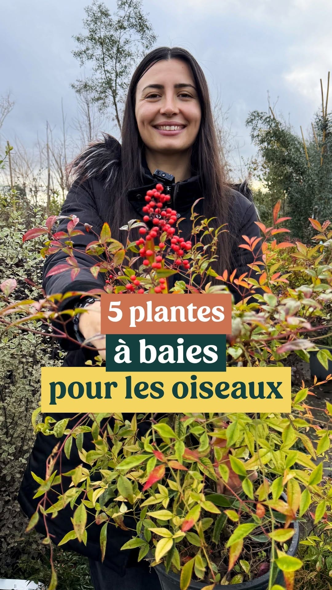 Post 3 by Plantes IDF on Instagram (video)