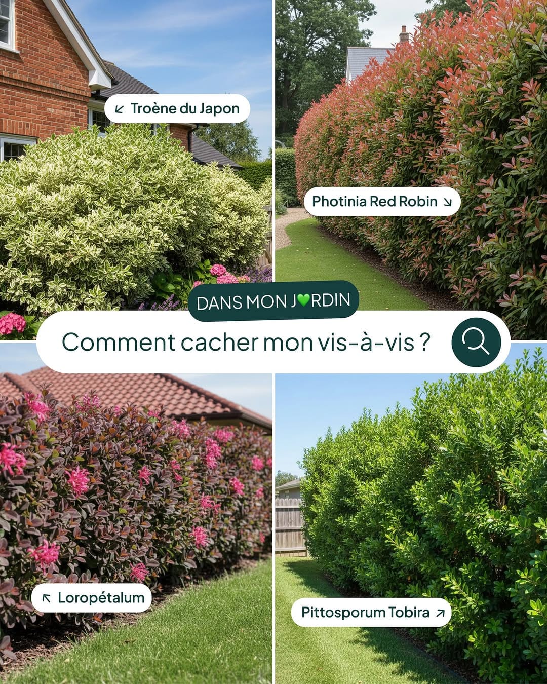 Post 10 by Plantes IDF on Instagram (carousel)