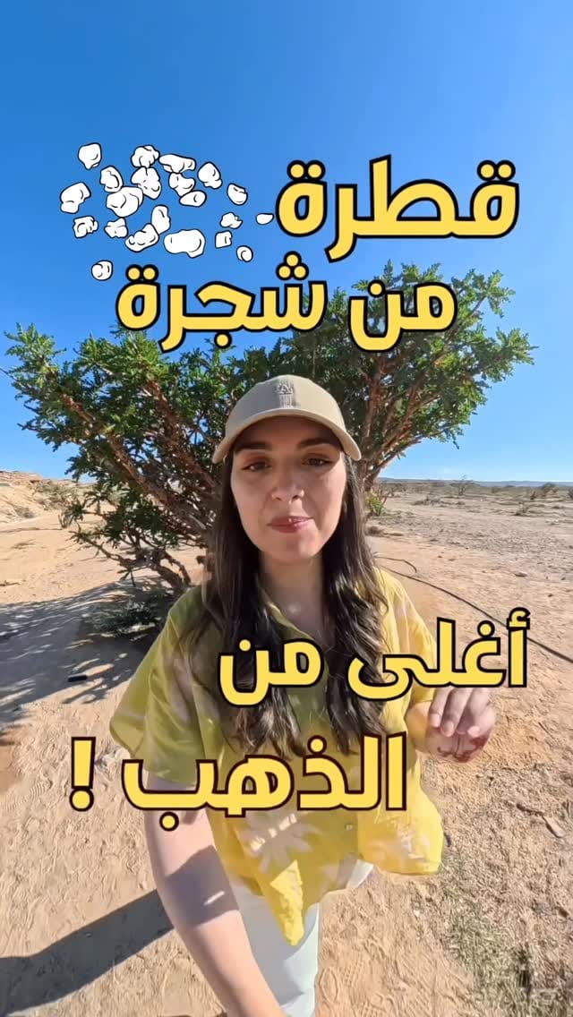 Post 1 by Sahar BRS | Travel Adventure & Lifestyle on Instagram (video)