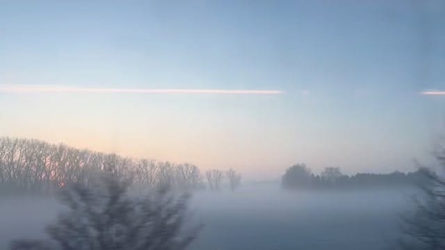 Post 4 by Shani Diluka on Instagram (video)