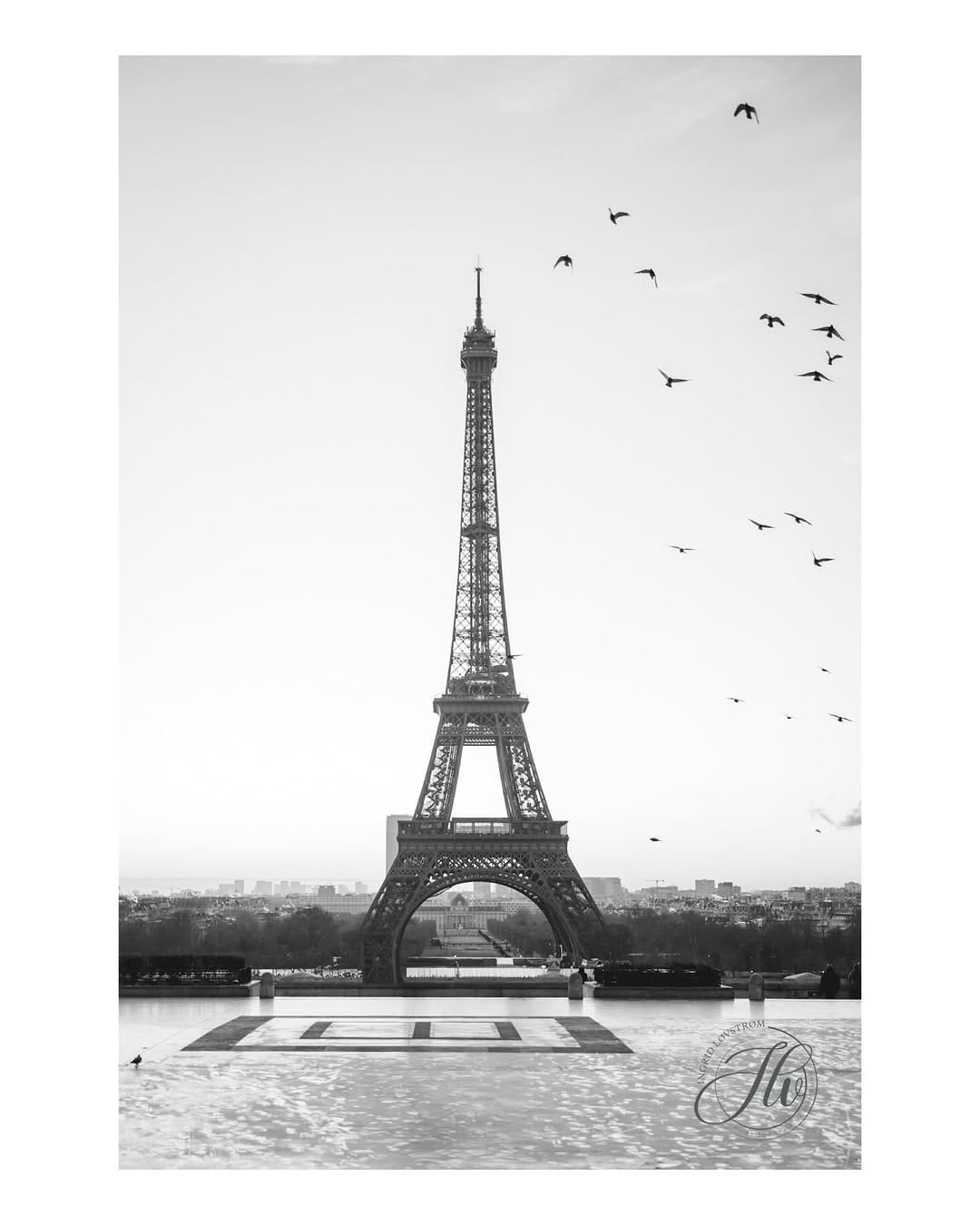 Post 4 by Ingrid Løvstrøm - Photographe Styliste Culinaire 📸✨ on Instagram (carousel)