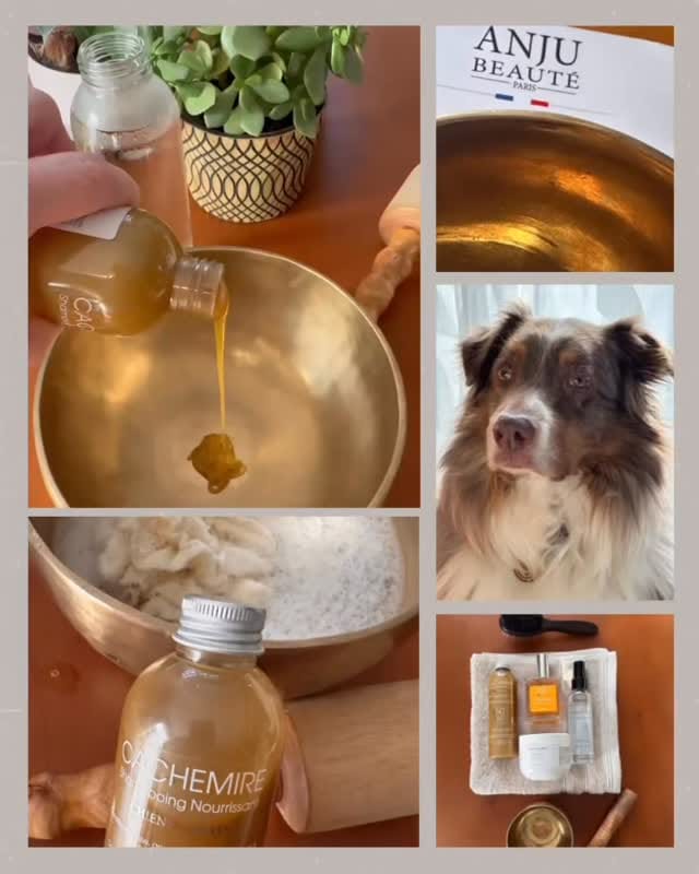 Post 1 by Anju Beauté Paris on Instagram (video)