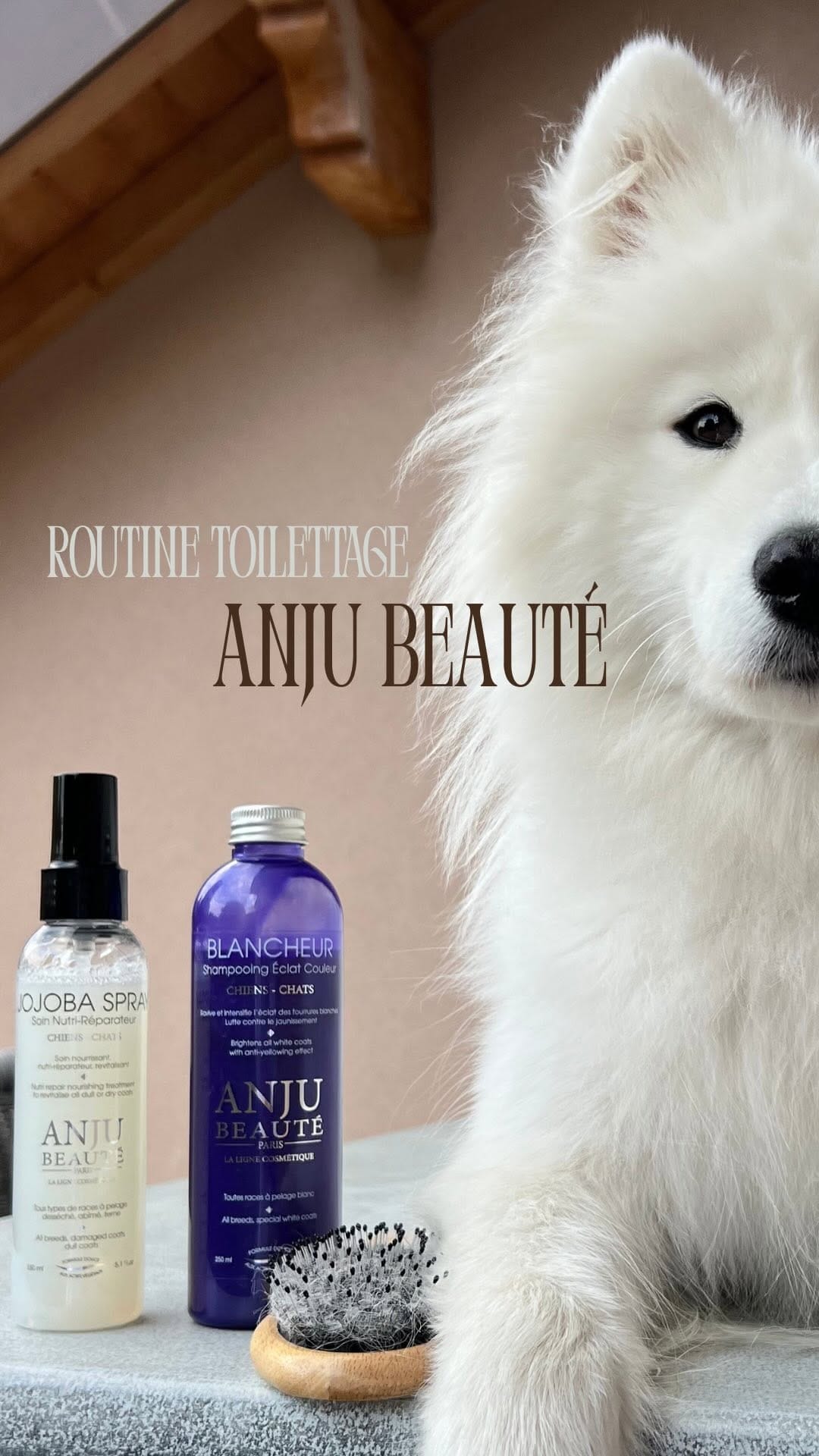 Post 5 by Anju Beauté Paris on Instagram (video)