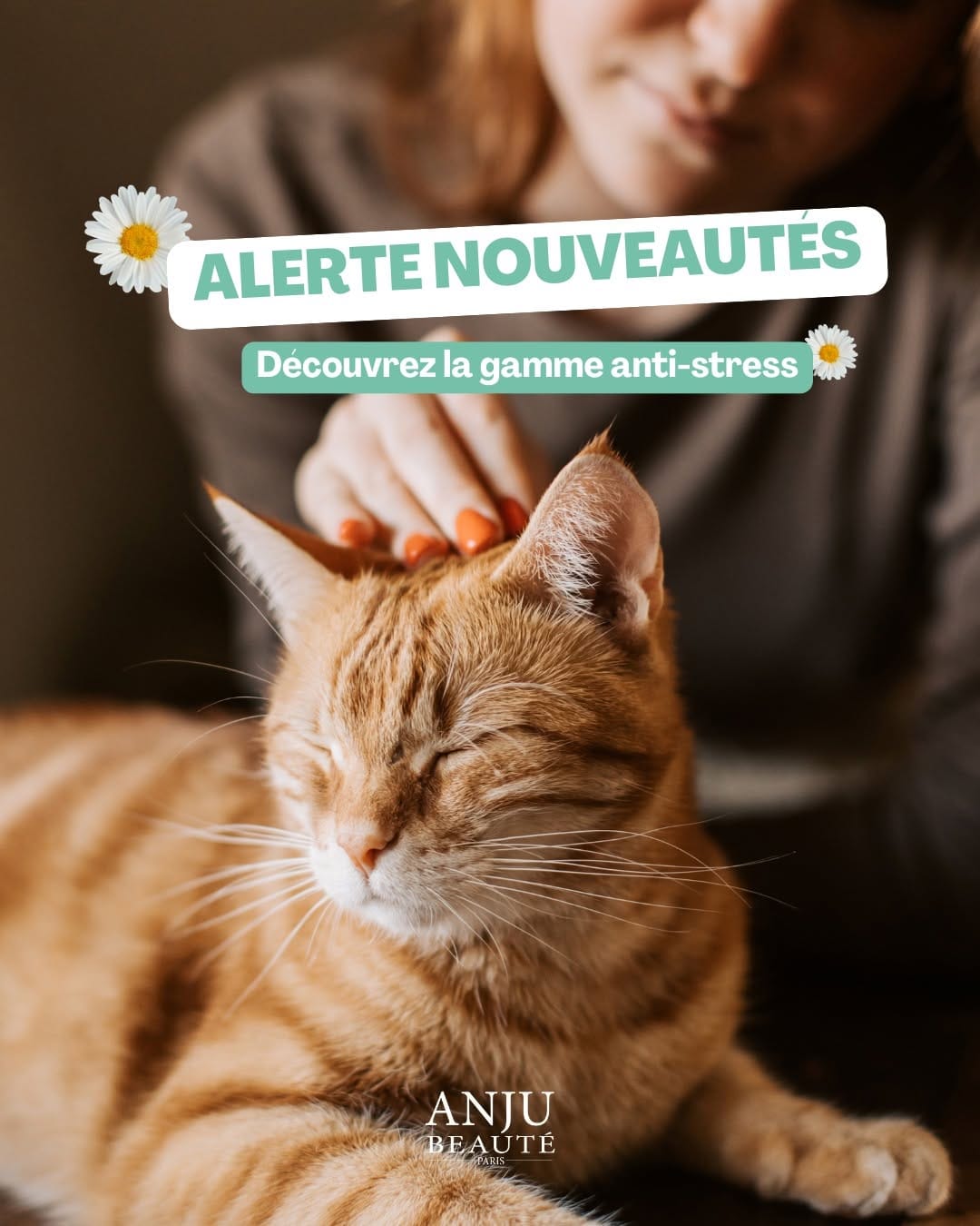 Post 6 by Anju Beauté Paris on Instagram (carousel)