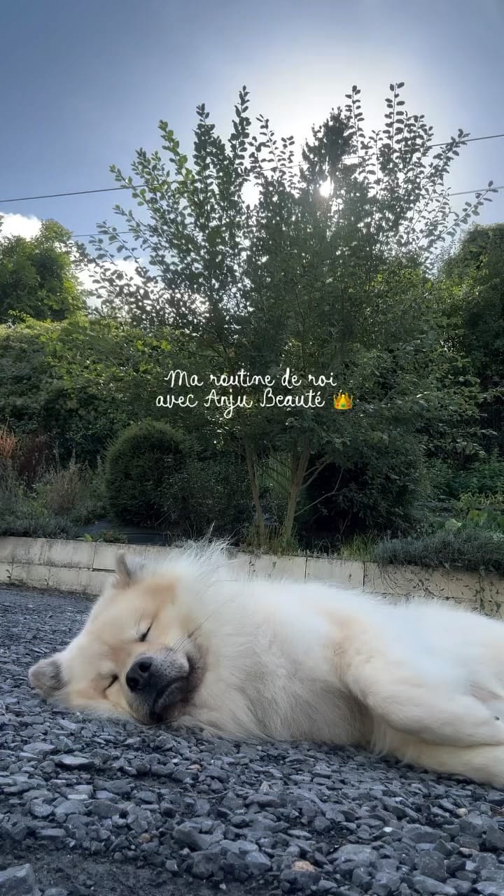 Post 4 by Anju Beauté Paris on Instagram (video)