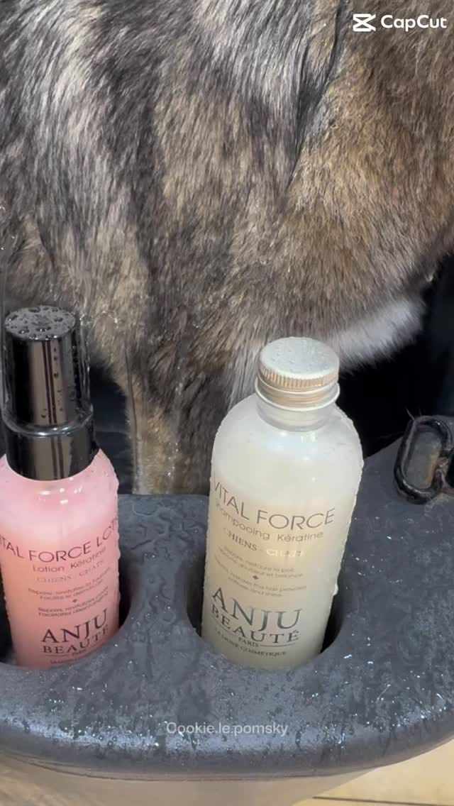 Post 7 by Anju Beauté Paris on Instagram (video)