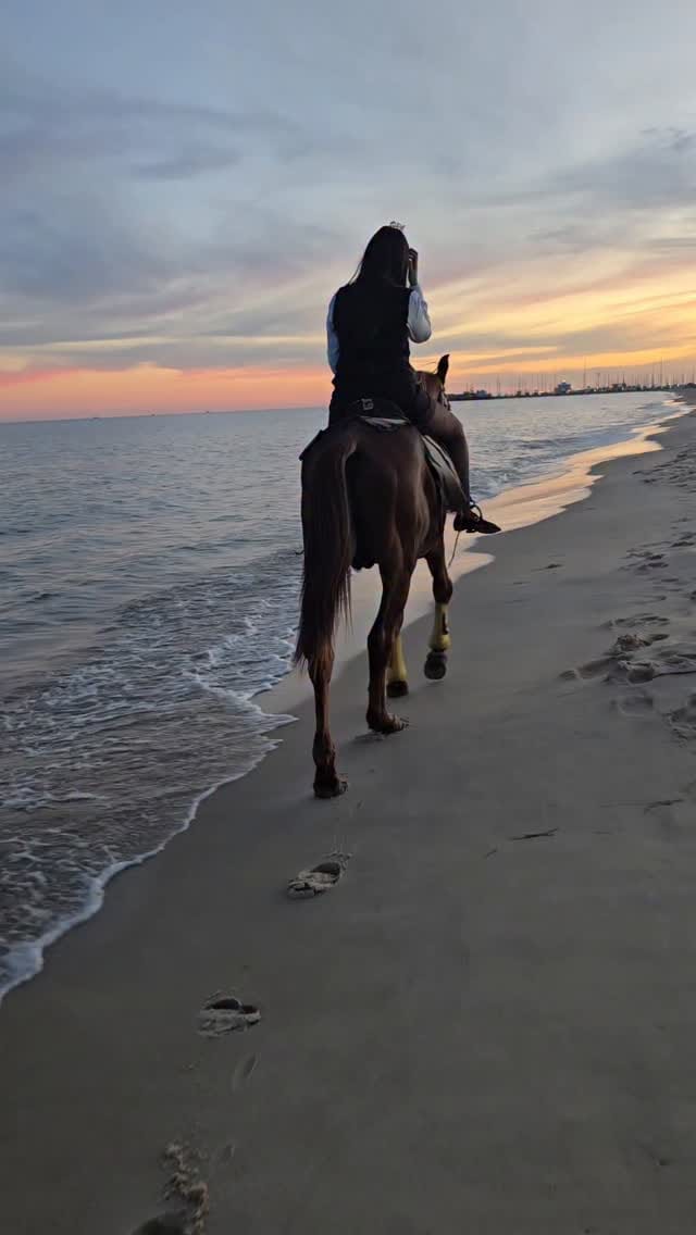 Post 1 by 𝙔𝙊𝙐𝙎𝙍𝘼 🦋 on Instagram (video)