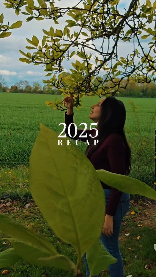 Post 5 by 𝙔𝙊𝙐𝙎𝙍𝘼 🦋 on Instagram (video)