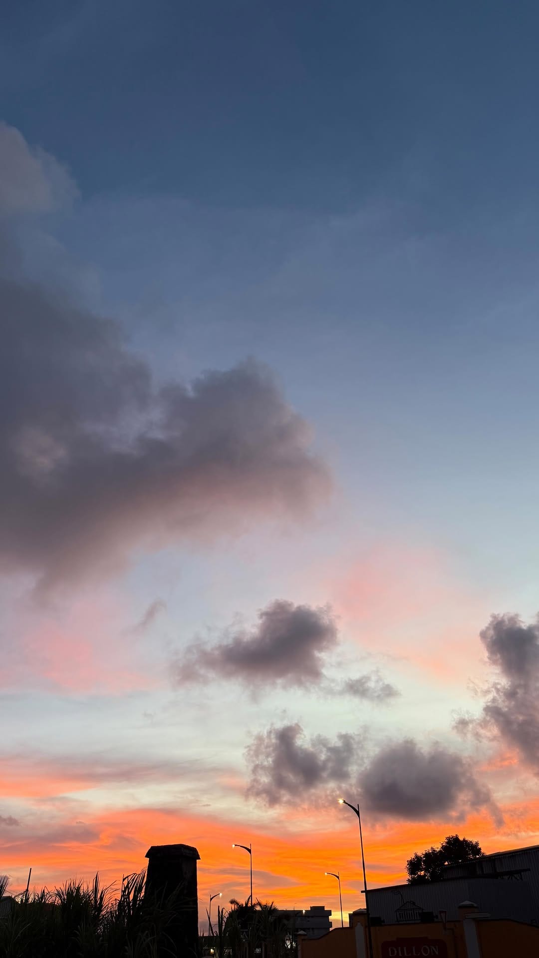 Post 1 by Ingrid Lauren on Instagram (video)