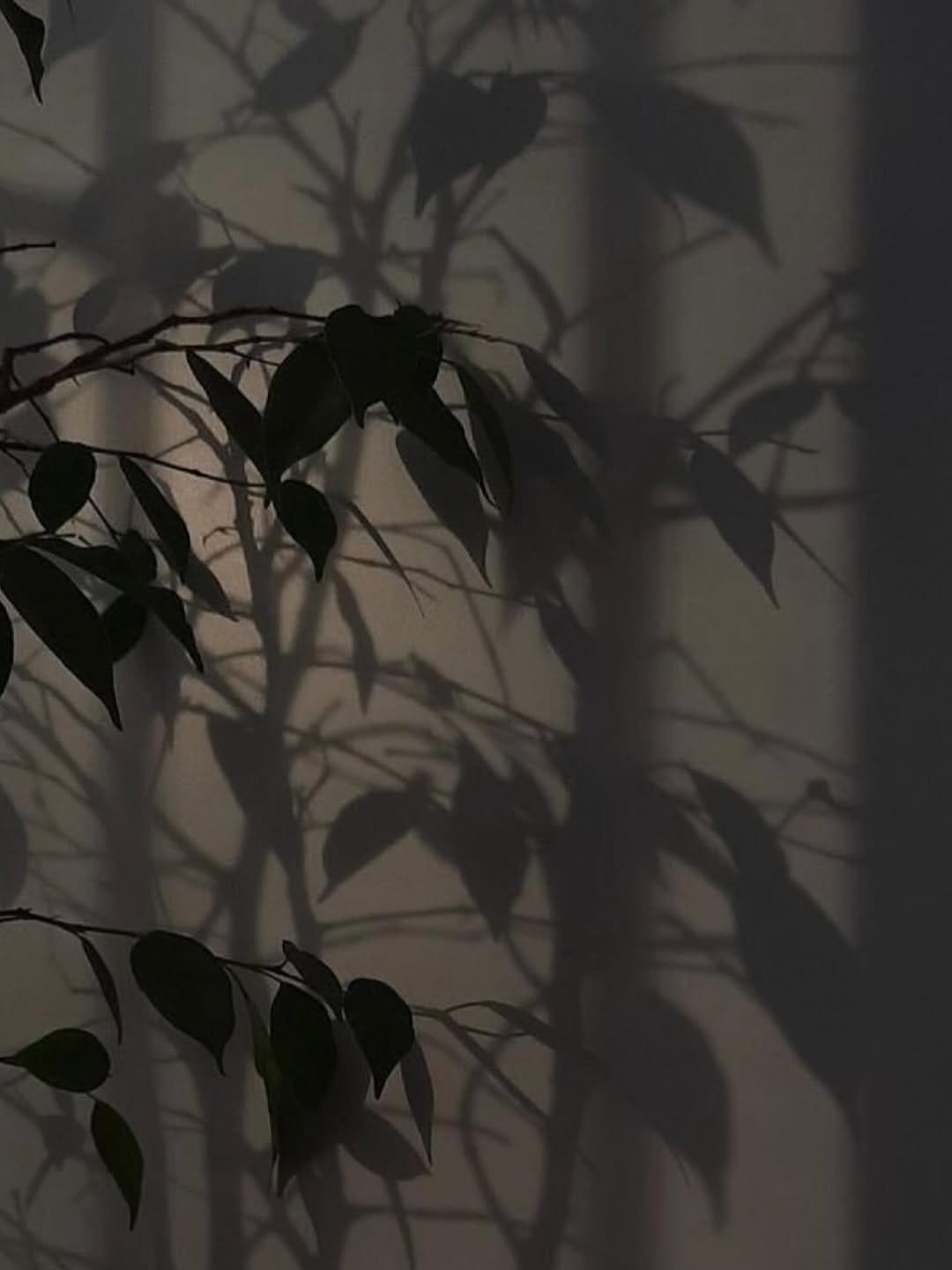 Post 2 by Eᴍᴍᴀɴᴜᴇʟʟᴇ on Instagram (image)