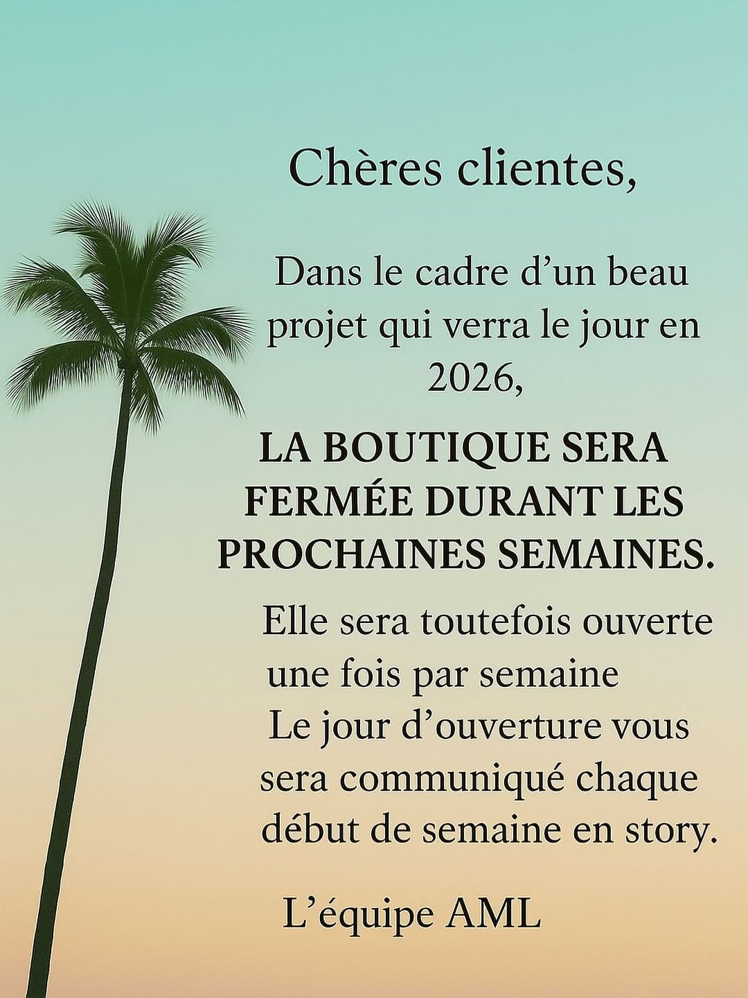 Post 4 by AML Paris 🌴 on Instagram (image)
