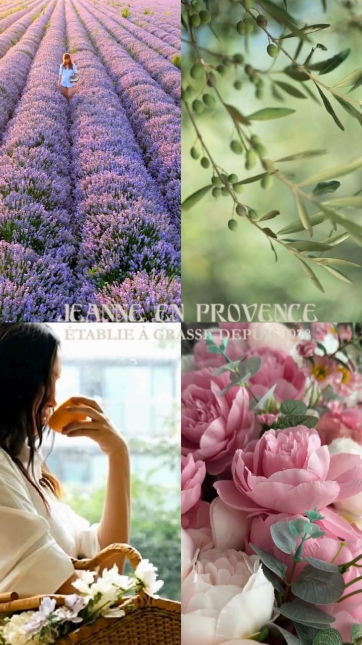Post 7 by Jeanne en Provence on Instagram (video)