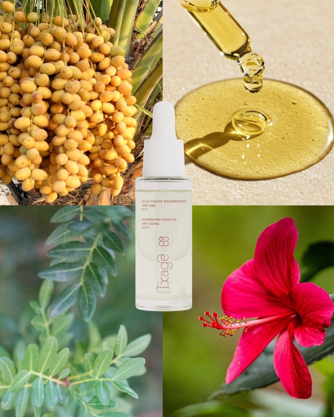 Post 2 by IXAGE | Cosmétique Certifiée Bio on Instagram (image)