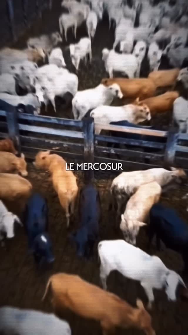 Post 1 by Terre de France on Instagram (video)