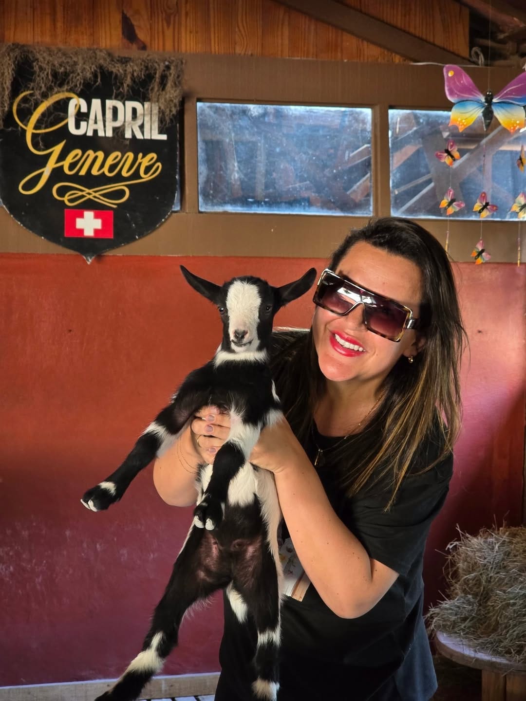 Post 10 by Queijo de Cabra Fazenda Geneve/Queijo Artesanal on Instagram (carousel)