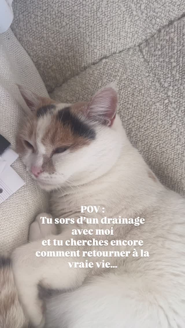 Post 7 by Laetitia Attia on Instagram (video)